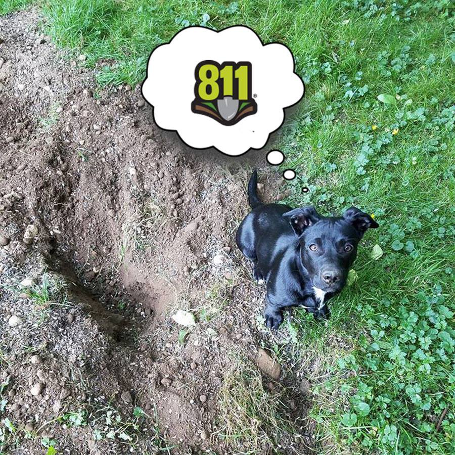 Call before you dig